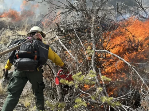 Начаты контролируемые выжигания в районе Сан-Кристобаль, Нью-Мексико