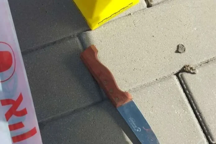 Убийство в деревне Ясиф: брат убил брата и скрылся