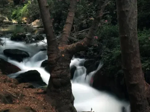 Опасные реки на севере Израиля: предупреждение для туристов