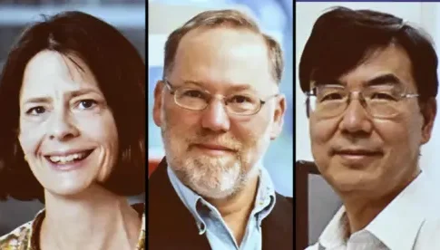 Как иммунная система знает, когда остановиться: научное достижение за Нобелевской премией по медицине