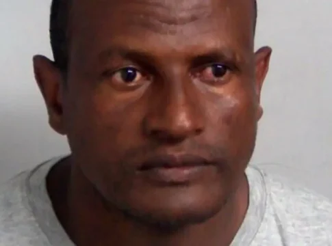 Ошибочно освобождённый мигрант арестован после полицейской погони в Лондоне