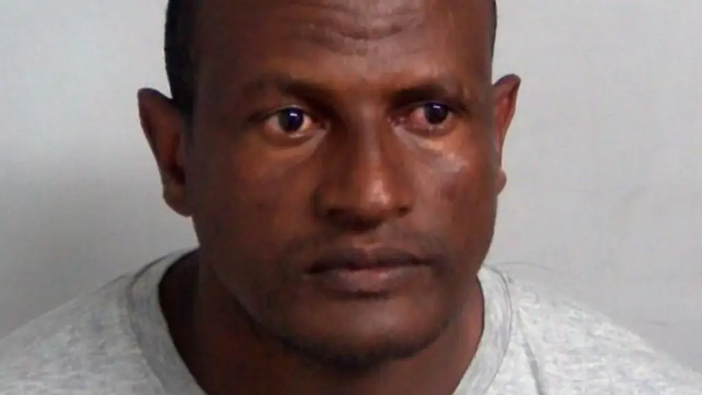 Ошибочно освобождённый мигрант арестован после полицейской погони в Лондоне