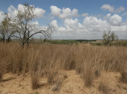 Тепло в Израиле сохраняется: октябрь превратился в лето