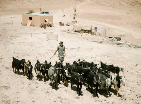 Жители Гуш-Эцион возмущены задержанием пастухов и бездействием ЦАХАЛ