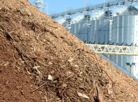 Гранты Wood Innovations: как получить поддержку для производства древесных пеллет