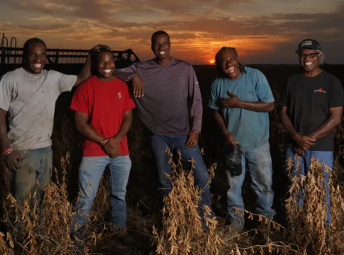 Торговая война в полях: как тарифы разоряют американских фермеров