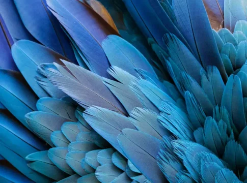 Нобелевская премия по экономике: инновации как ключ к устойчивому росту