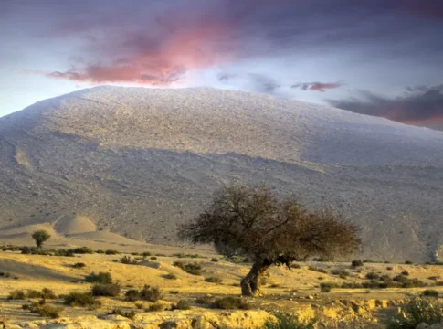 Кризис в Негеве: более половины жителей готовы уехать, а государственные обязательства падают почти вдвое