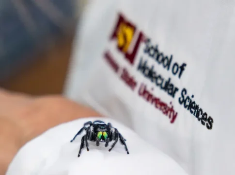 Ученые из Аризонского университета используют шелк для лечения ран и создания новых биоматериалов