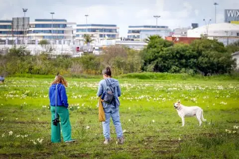 Государство Израиль обвиняют в захвате земли стоимостью сотни миллионов шекелей