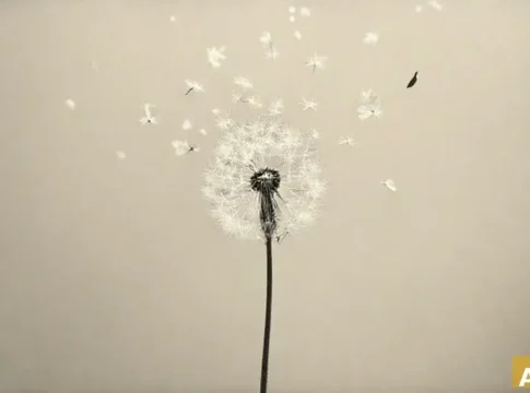 Еврокомиссия одобрила биосимиляр AVT03 от Alvotech для европейского рынка (AI-иллюстрация)