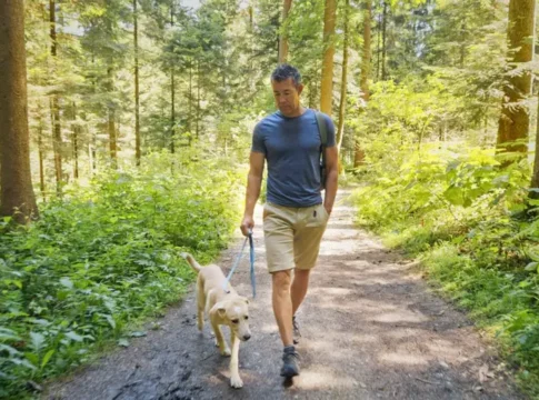 Эксперты назвали способы повышения уровня «хорошего» холестерина HDL