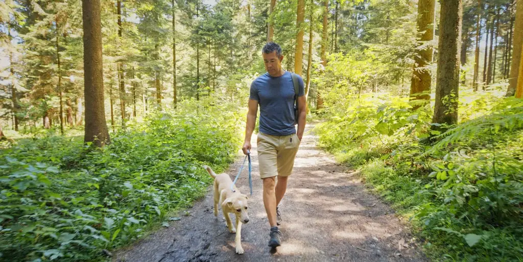 Эксперты назвали способы повышения уровня «хорошего» холестерина HDL