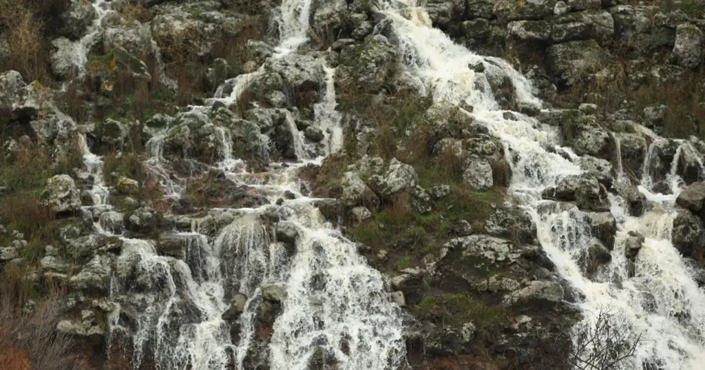 Минздрав Израиля предупреждает: Вход в некоторые ручьи на севере страны опасен из-за загрязнения