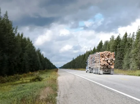 Канадский премьер предупреждает о возможных сокращениях в лесной промышленности из-за торговой войны