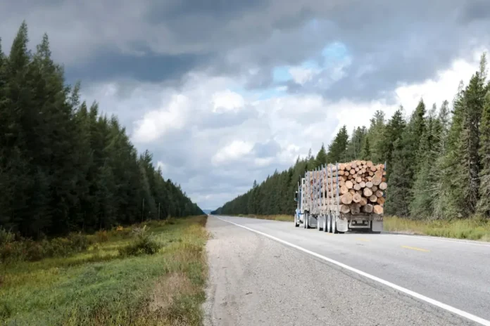 Канадский премьер предупреждает о возможных сокращениях в лесной промышленности из-за торговой войны