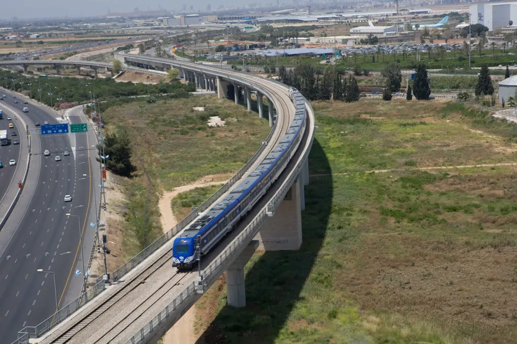 Общественная организация обвиняет 