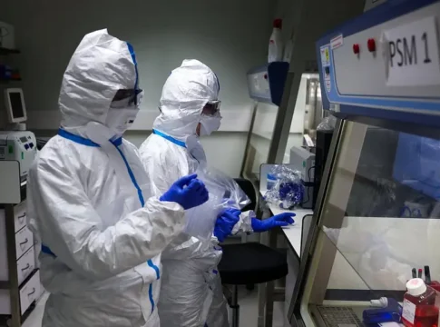 Птичий грипп: ученые предупреждают о новой угрозе, против которой бессильна лихорадка