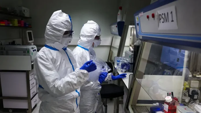 Птичий грипп: ученые предупреждают о новой угрозе, против которой бессильна лихорадка