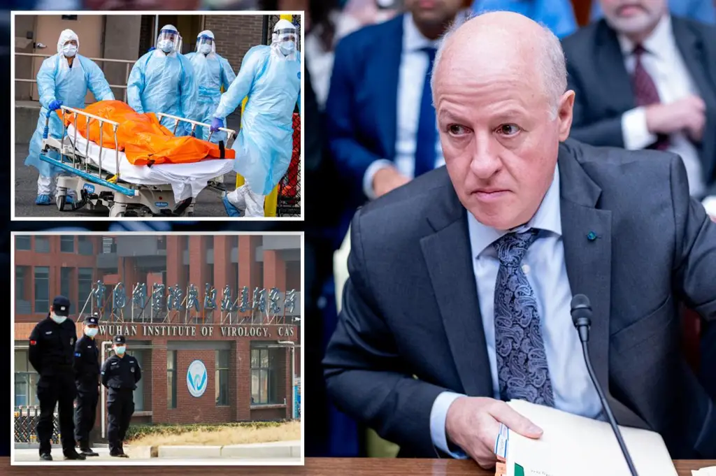 Экс-глава EcoHealth Alliance Питер Даззак утверждает, что остался без работы и средств