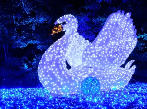 Международный фестиваль света LUMAGICA впервые засияет в Тель-Авиве