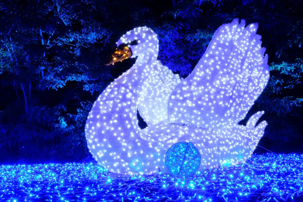 Международный фестиваль света LUMAGICA впервые засияет в Тель-Авиве