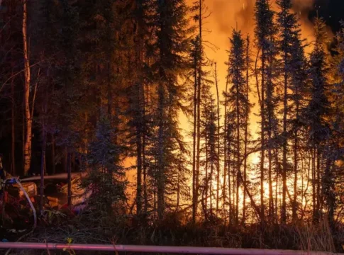 Пожар в лесном массиве района Таку‑Кэмпбелл в Анкоридже потушен пожарными