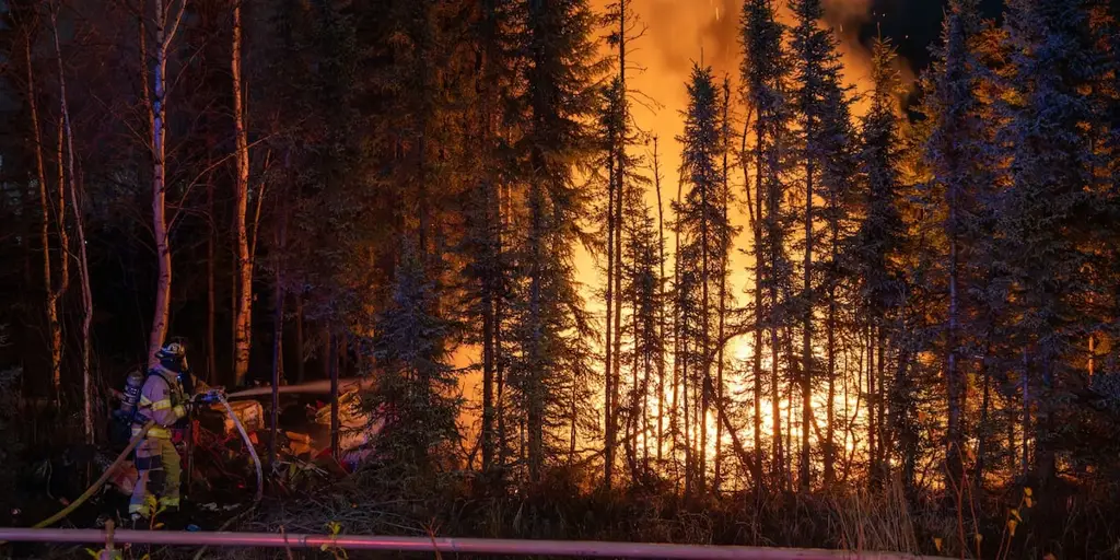 Пожар в лесном массиве района Таку‑Кэмпбелл в Анкоридже потушен пожарными