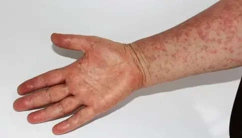 Сирийская гид Рита Драан ломает стереотипы: туры без хиджаба и надежда на мир с Израилем