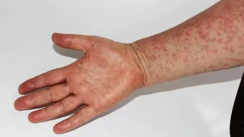 Сирийская гид Рита Драан ломает стереотипы: туры без хиджаба и надежда на мир с Израилем