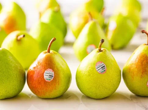 CMI Orchards: традиции и инновации в производстве премиум‑фруктов и защите планеты