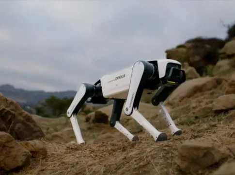 Китайский робот-пес Rover X1: революция в доступности домашних роботов