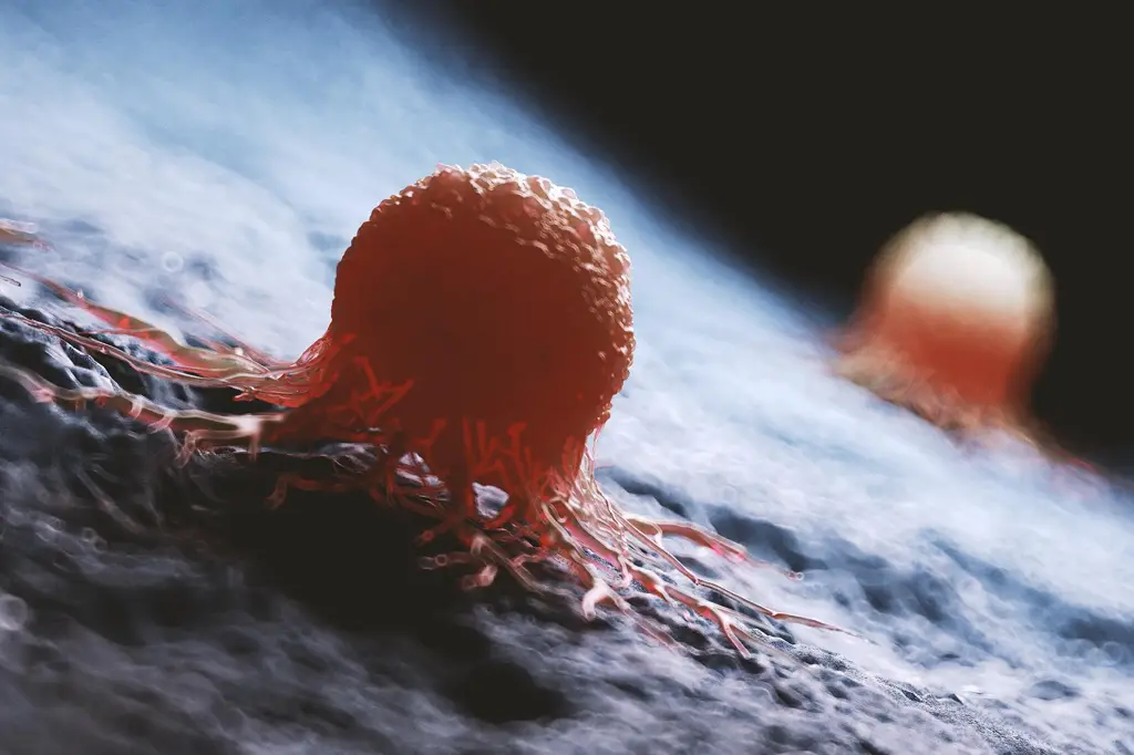 Революционное лечение: новый препарат уничтожил рак мочевого пузыря у 82% пациентов