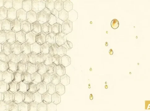 Израильские пчеловоды: климатические вызовы и угрозы импорту ставят под удар опы (AI-иллюстрация)