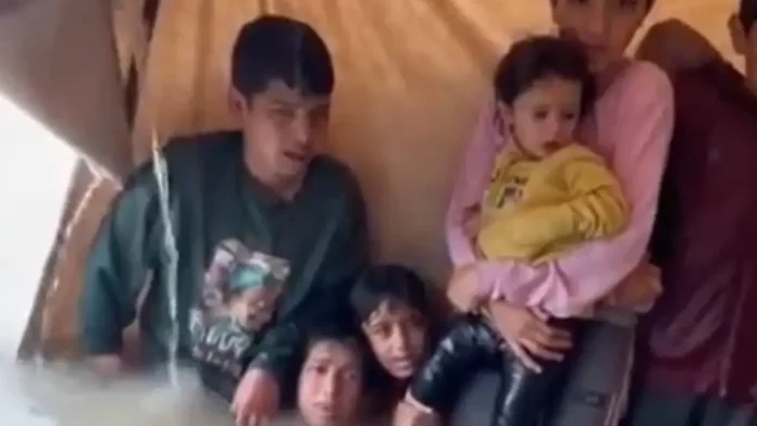 В сети распространяются фейковые видео с детьми из Газы, созданными с помощью ИИ