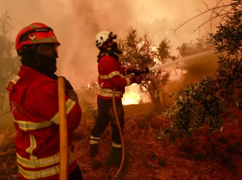 В Португалии зафиксирован всплеск крупных лесных пожаров в 2025 году