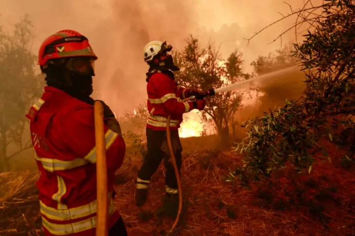 В Португалии зафиксирован всплеск крупных лесных пожаров в 2025 году