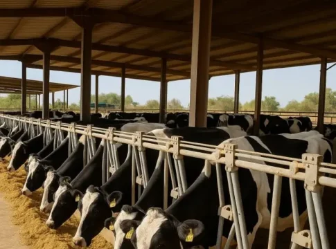 Израиль и Индия ускоряют переговоры по торговому соглашению