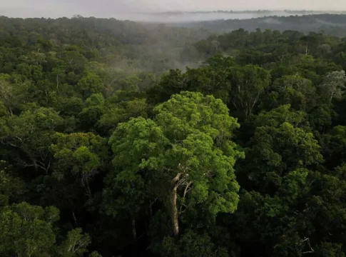 Климат, существовавший 10 миллионов лет назад, возвращается