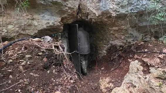 Визит посла США в Израиль на фоне напряженности с Ливаном