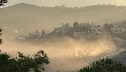 Власти Шохама бьют тревогу: дым от сжигания мусора несет серьезную угрозу здоровью