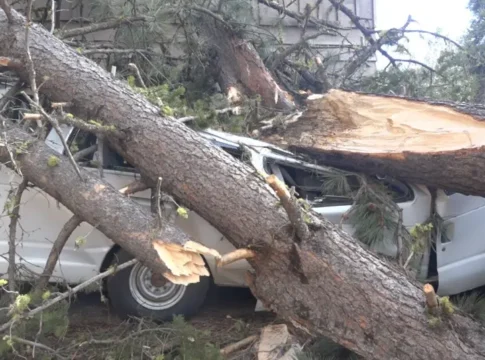 Разрушительный ураган в долине Валли: поваленные деревья и значительный ущерб