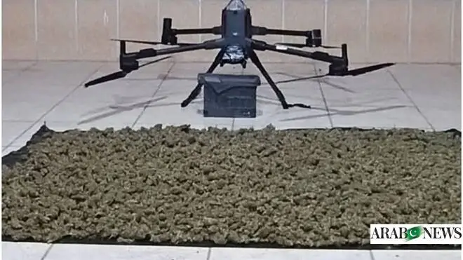 Сенатор США Линдси Грэм призвал к военным действиям против ХАМАС и 