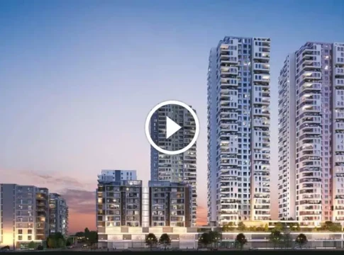 Хайфа: Гигантский проект 