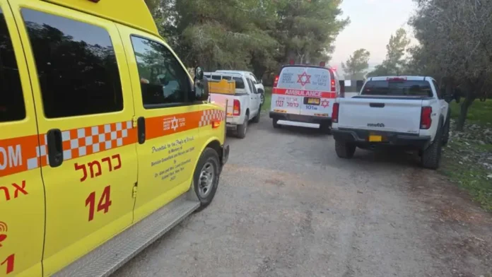 Двойное убийство на севере: тела двух мужчин найдены у Хуальда