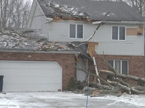 Стихия обрушилась на США: ураганный ветер валит деревья и рвет провода