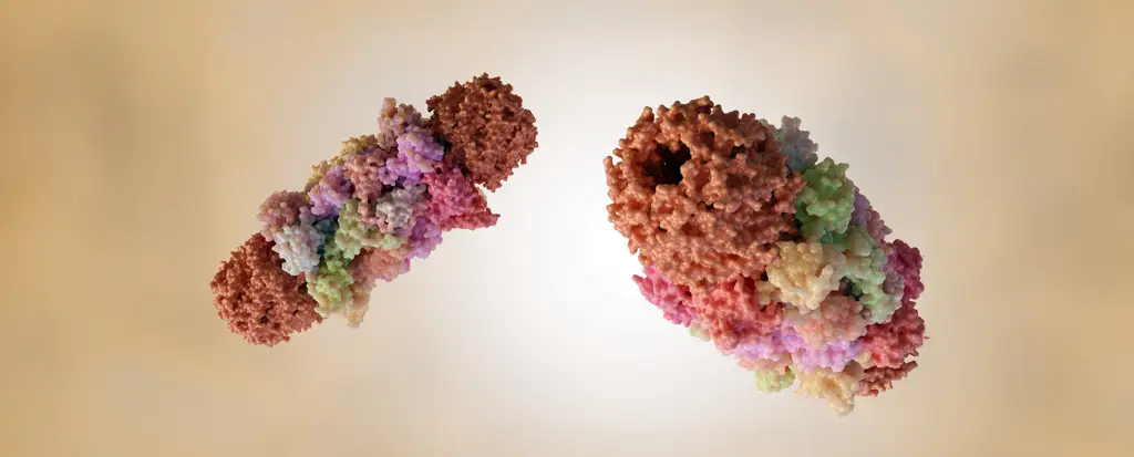 Израильский учёный в списке самых влиятельных исследователей года по версии Nature