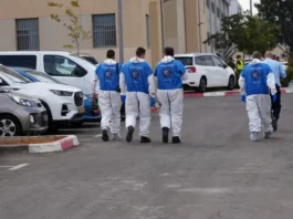 Сотрудник Центра идентификации павших солдат обращается к Кнессету: «Не ждите, пока наш дом рухнет!» Сотрудник Центра идентификации павших солдат обращается к Кнессету: «Не ждите, пока наш дом рухнет!»