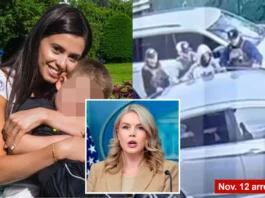 Мать племянницы Каролины Ливитт освобождена из-под стражи ICE Мать племянницы Каролины Ливитт освобождена из-под стражи ICE