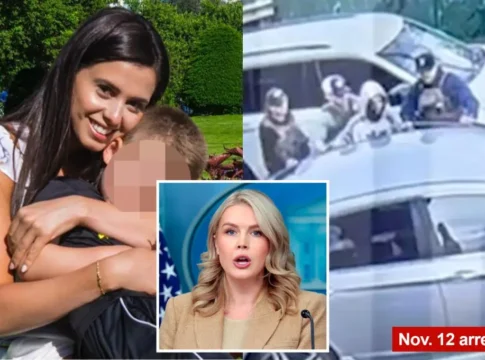 Мать племянницы Каролины Ливитт освобождена из-под стражи ICE